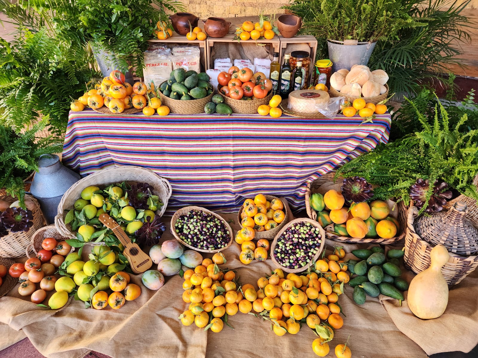 La Feria del Sureste celebra sus 20 años en Agüimes