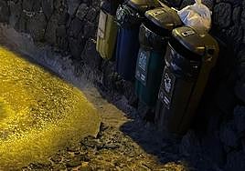 Recipientes para la basura en la playa de El Jablillo