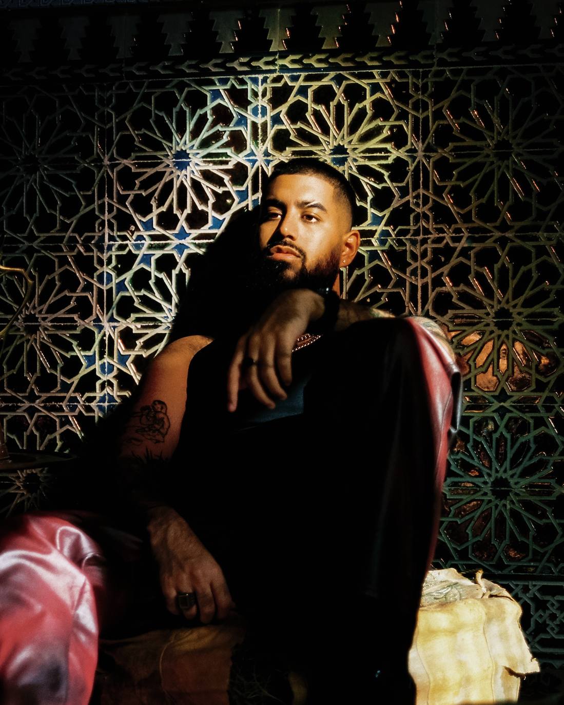 Abhir Hathi y el arte de cabalgar como un elefante en 'Brown Boy'