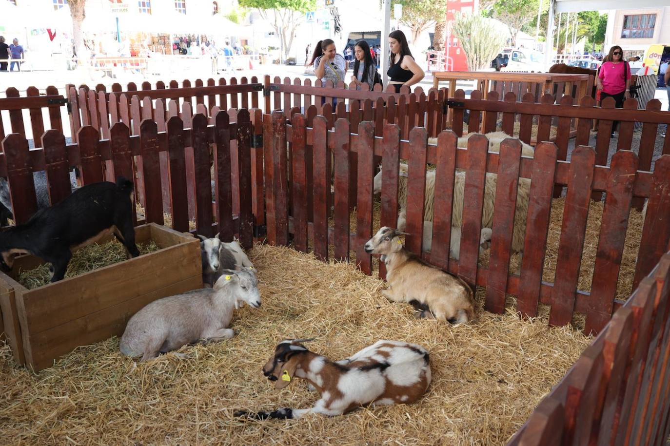 150 puestos que saben a Sureste