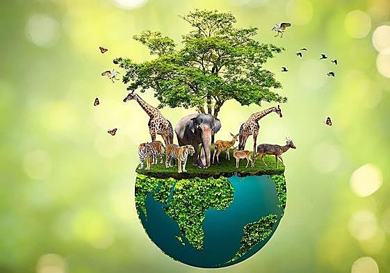 Restauración de la Naturaleza: Reglamento Europeo