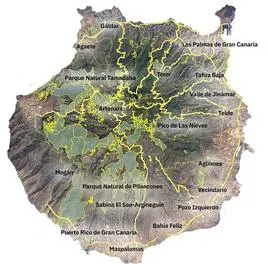 Mapa de los montes públicos (en verde) en la superficie foresal de Gran Canaria.