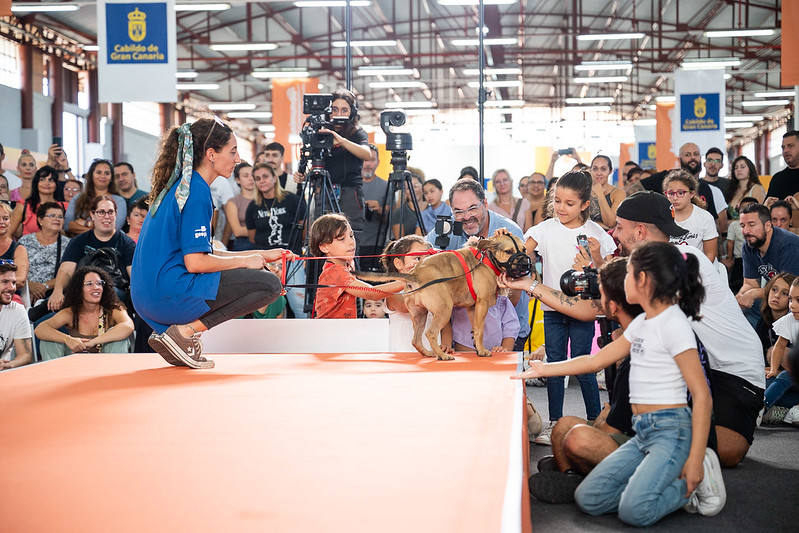 El primer día de Animundo, en imágenes