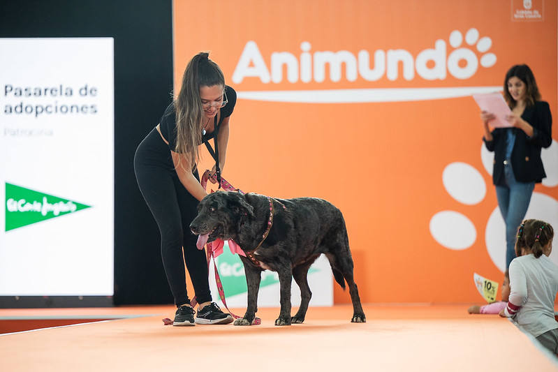 El primer día de Animundo, en imágenes