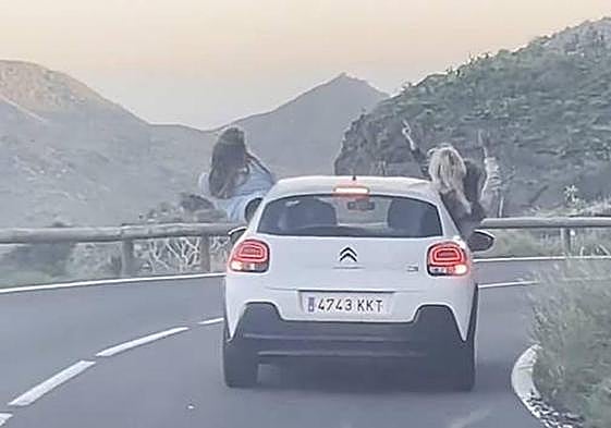 Las imágenes del incidente que tuvo lugar el pasado sábado.