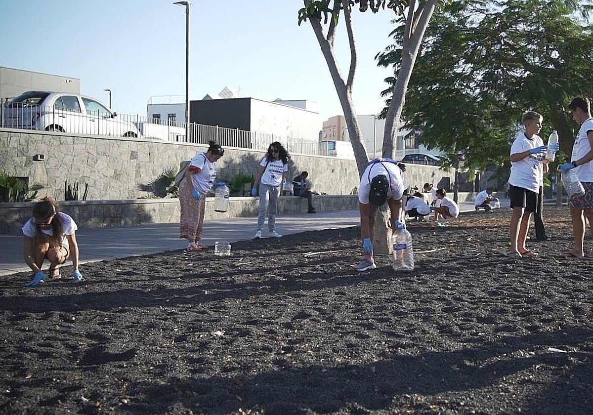 Recogida de colillas con voluntarios.