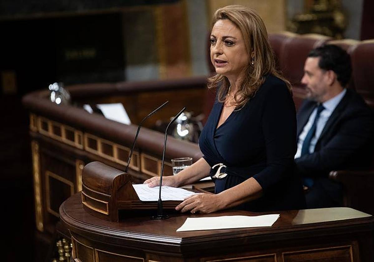 La diputada de CC, Cristina Valido, durante una intervención en el Congreso.