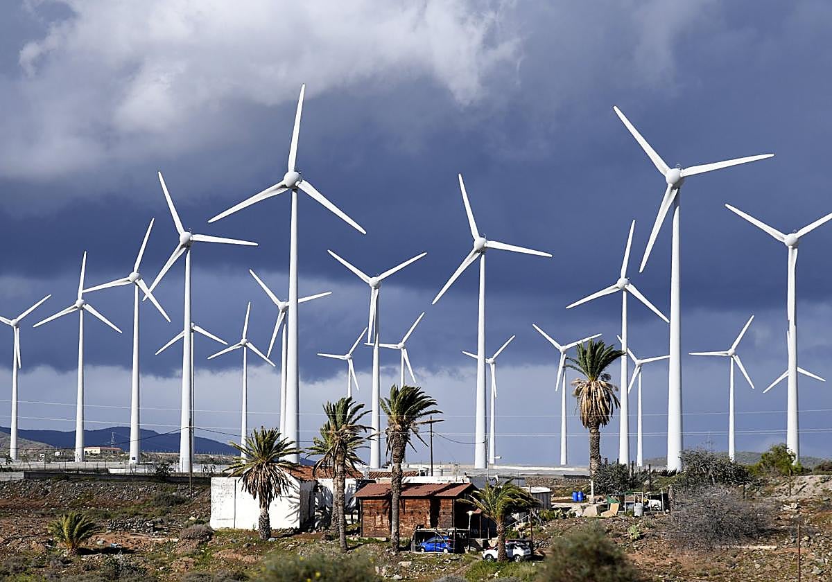 Imagen de un parque de molinos eólicos en el sur de Gran Canaria.