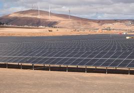 Parque fotovoltaico en las afueras de Puerto del Rosario y compuesto por 12.700 paneles solares. Al fondo, cuatro de los ocho aerogeneradores del parque eólico de Naturgy.