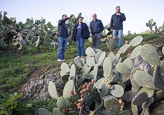 Alejandro Domínguez da explicaciones a Alonso e Hidalgo en su finca de San José del Álamo.