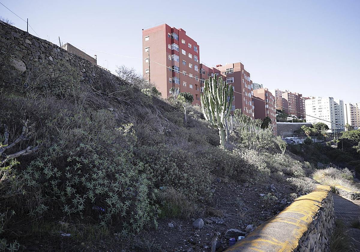Imagen principal - Estado en el que se encuentra la ladera y el camino que accede a Mata.