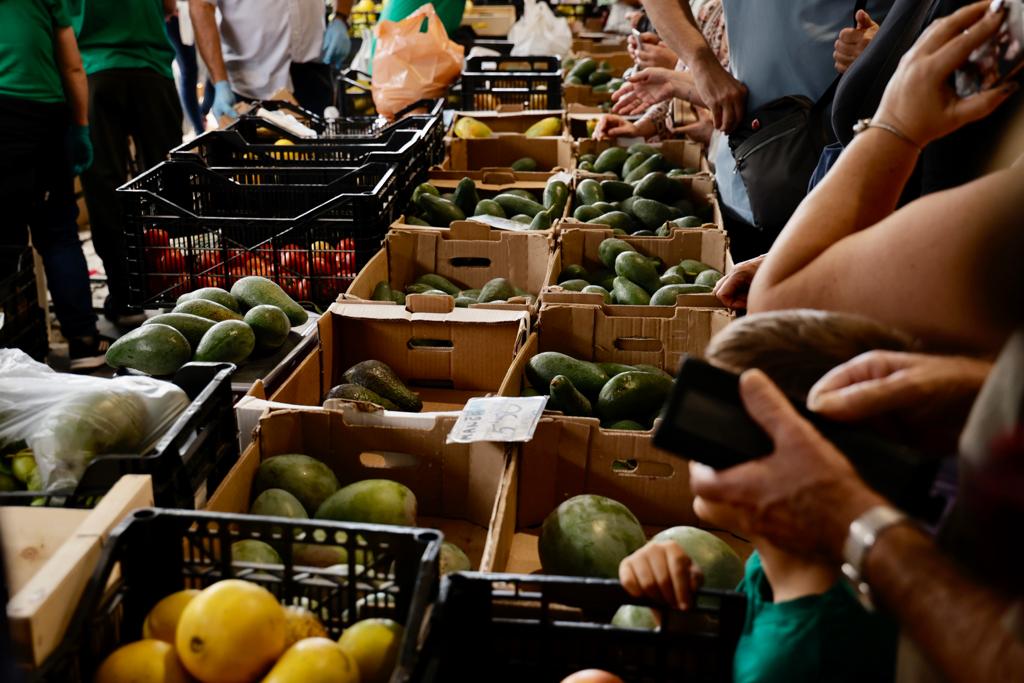 La feria del aguacate de Mogán, en imágenes