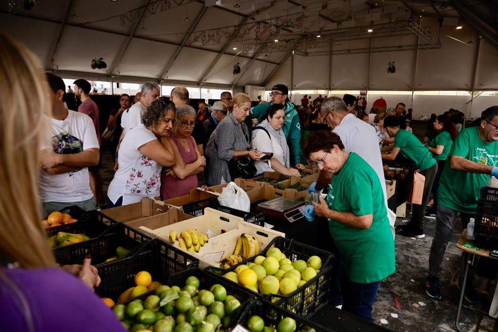 La feria del aguacate de Mogán, en imágenes
