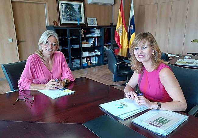 El CELP aglutina a los más de 8.800 enfermeros y enfermeras de la provincia, la fuerza sanitaria más numerosa del sistema de salud. En la imagen, una reciente reunión de Rita Mendoza (d) con la consejera de Sanidad del Gobierno de Canarias.