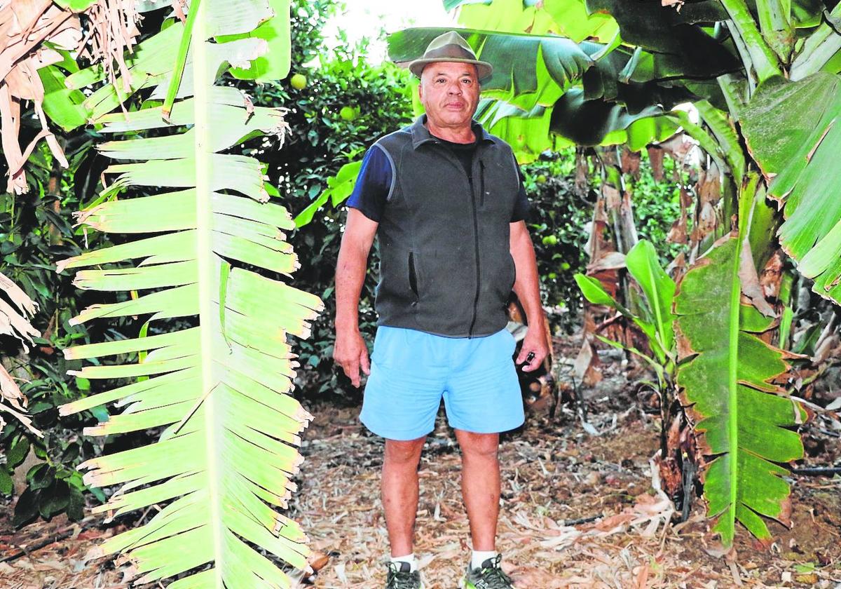 José María Hernández, Lomo Quiebre I, en su huerto de El Salobre.