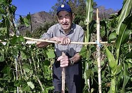 Pepito se agarra a su sacho en su finca de Rosiana, en Santa Lucía de Tirajana.