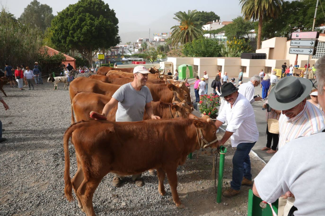 Las Fiestas de Santa Lucía, en imágenes