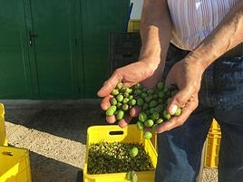 La cesta de la compra y un gobierno supuestamente de izquierdas