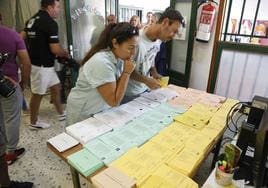 Votantes mirando papeletas.