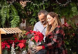 Esta Navidad, ven a nuestros Mercados Tradicionales de Canarias