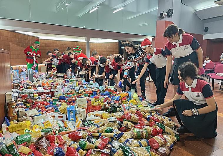 Toneladas de Solidaridad