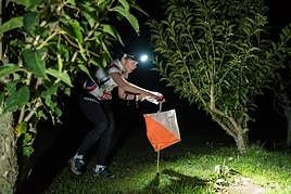 Gran acogida de la carrera nocturna.