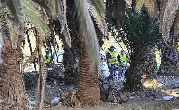 Imagen principal - Distintos momentos del operativo. Sobre estas líneas, los pocos moradores que quedan en el palmeral. 