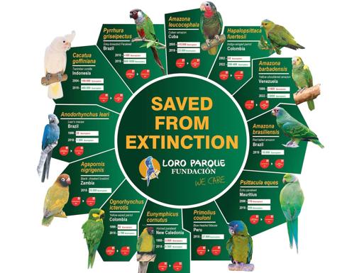En 2022 fueron salvadas de la extincion 12 especies.