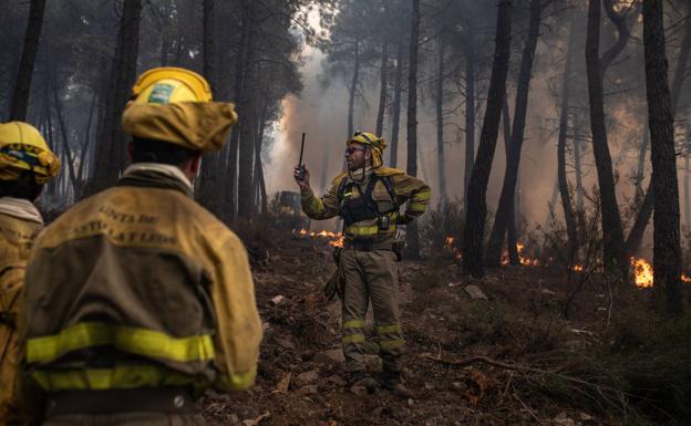 España consuma su peor temporada de fuegos forestales en tres décadas