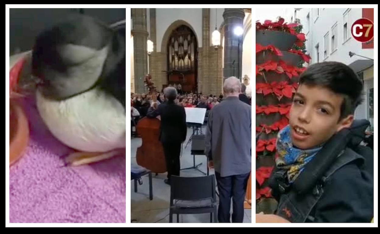 Los vídeos más destacados de este miércoles 18 de enero