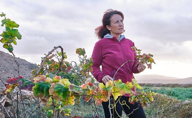 Almudena se confiesa más a gusto con la viticultura que con la enología. 