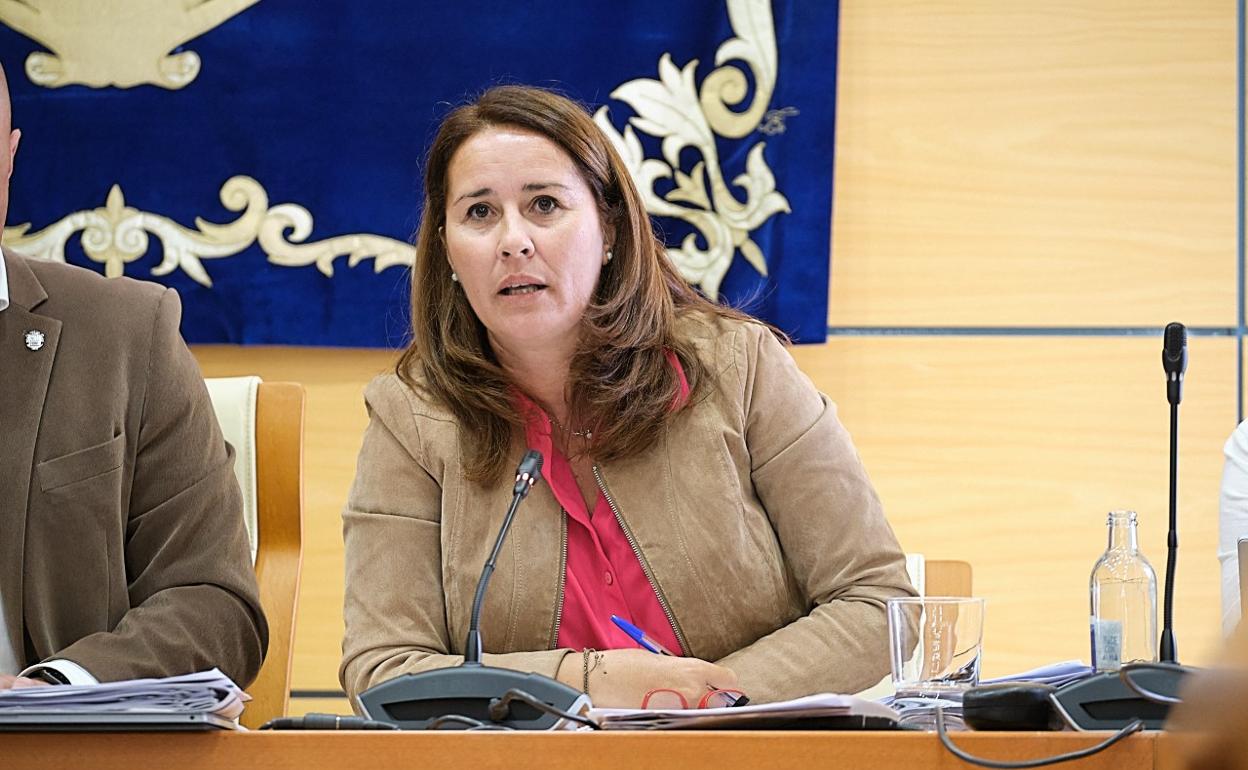 Lola García, en un pleno del Cabildo majorero. 