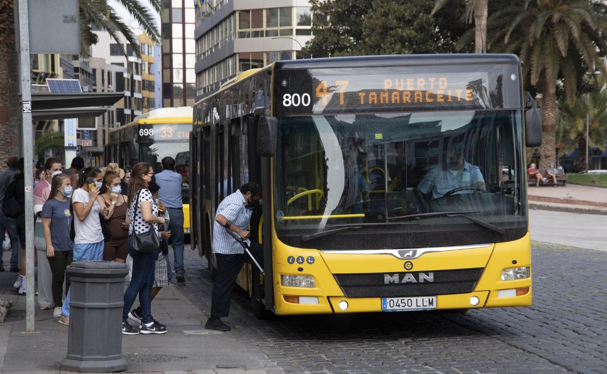 Guaguas en el parque de Santa Catalina. 