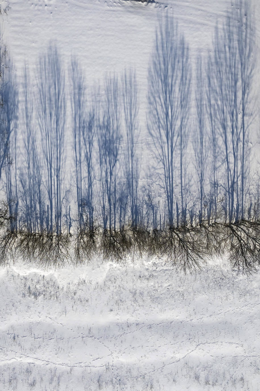 Invierno en Transilvania AITON (RUMANÍA), - Fotografía tomada con dron de un copioso manto de nieve que cubre un campo de cultivo en la región de Aiton. 