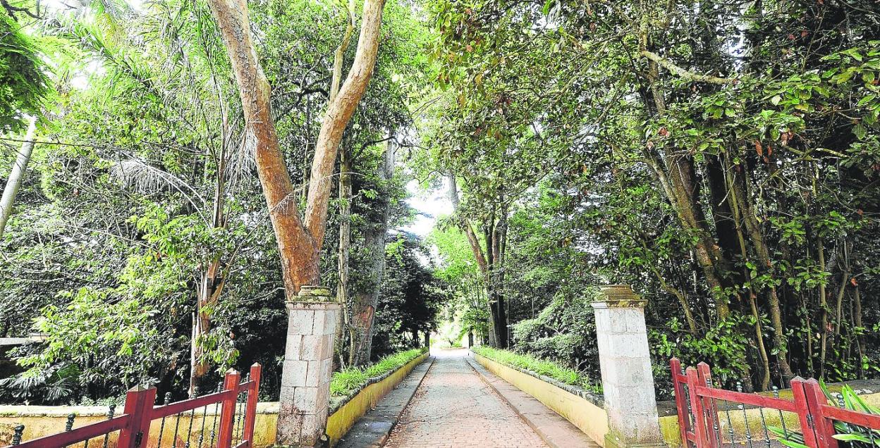 Imagen de archivo de la Finca de Osorio, en Gran Canaria. 