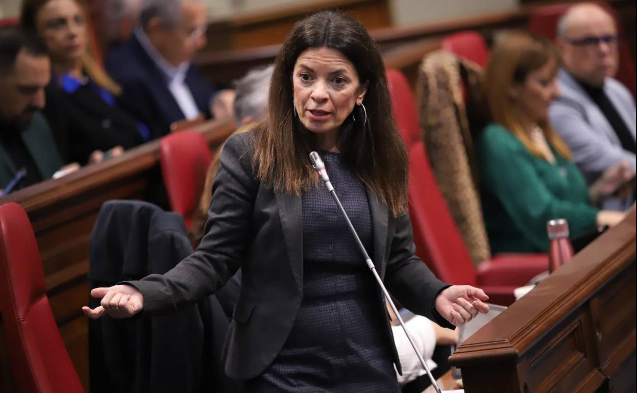 La diputada de CC Socorro Beato en un pleno. 