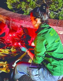 Imagen secundaria 2 - Hospitales Universitarios San Roque cuida de la salud de la Transgrancanaria