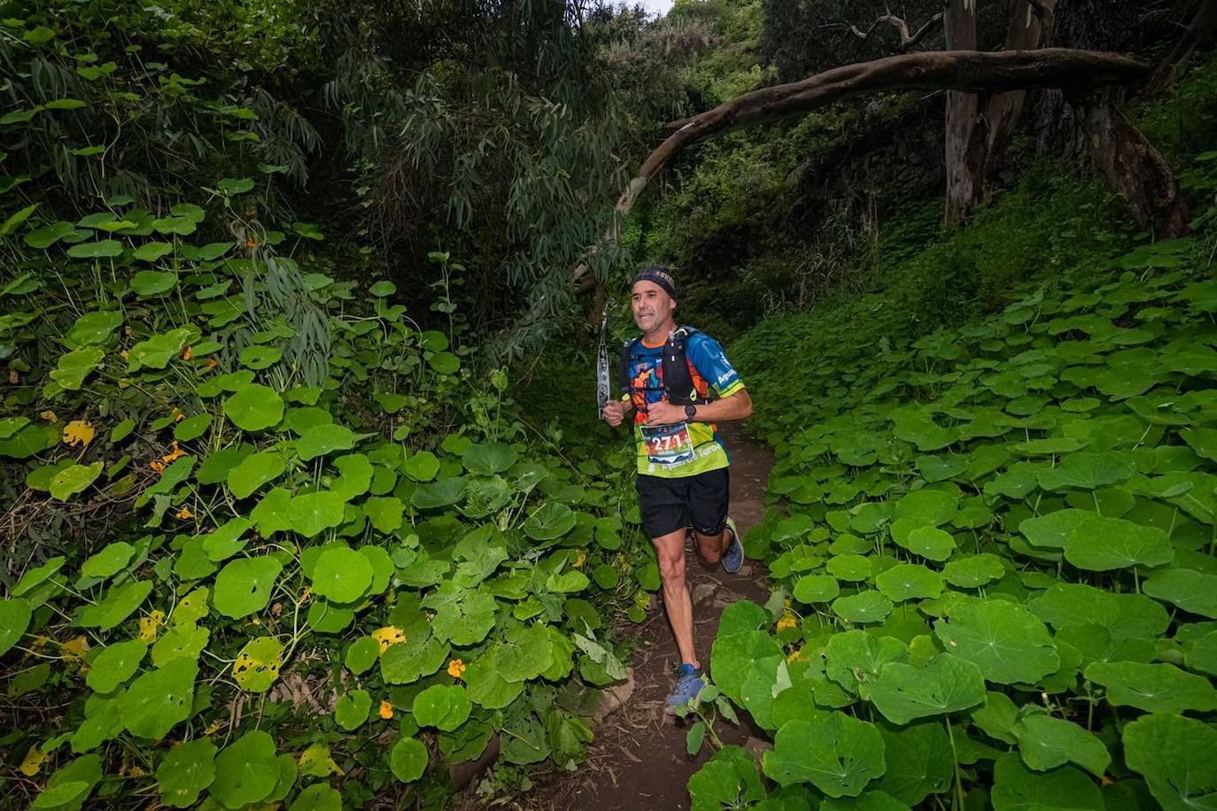 El Álamo Race tiene un recorrido exigente y espectacular. 