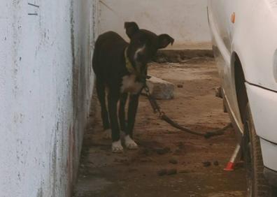 Imagen secundaria 1 - Imágenes del can. 