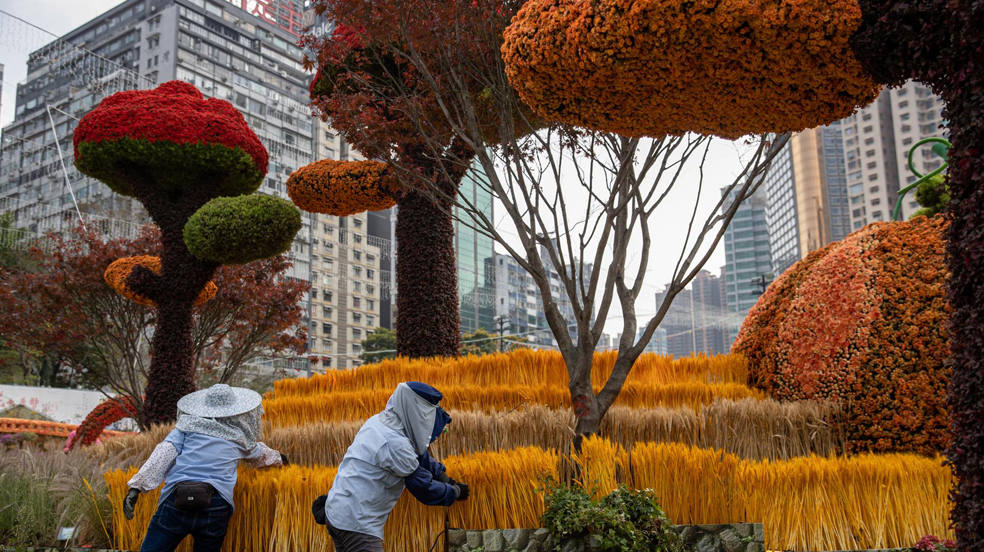 Trabajadores dan los últimos toques a los arreglos florales en Victoria Park como parte del Hong Kong Flower Show 2023, Hong Kong, China. El espectáculo tendrá una duración de diez días a partir 10 de marzo. 