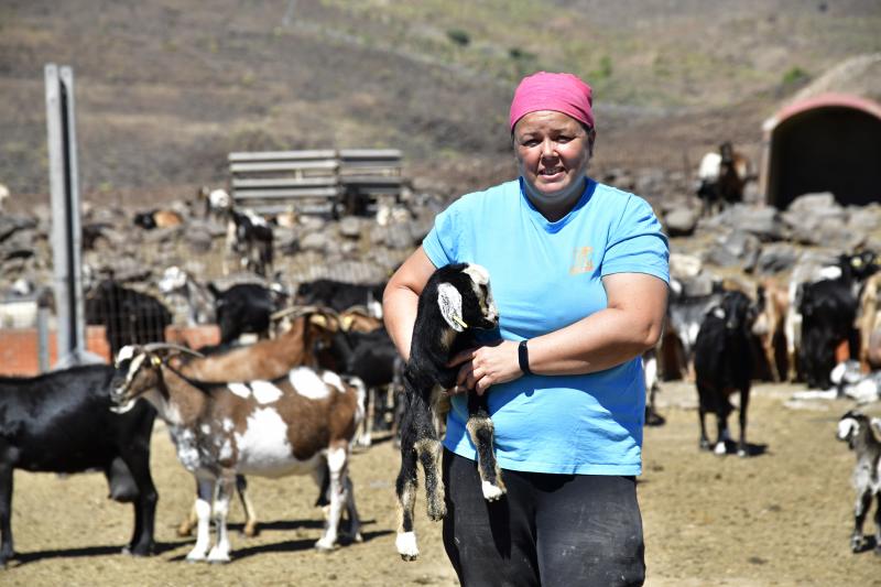 La ganadera y quesera, Lucía Torres, de la Era del Cardón, que eligió el mundo rural como sustento de vida, posa con un pequeño baifo. Detrás de ellos, algunas de las cabras que conviven en la quesería. 