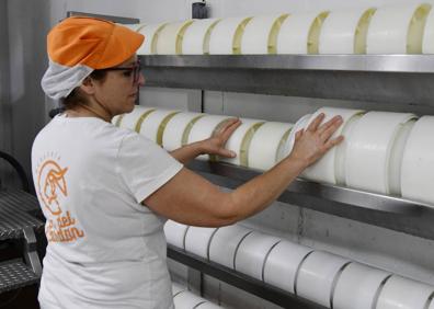 Imagen secundaria 1 - Del ordeño se obtienen unos 700 litros de leche de cabra al día para elaborar los distintos tipos de quesos. 
