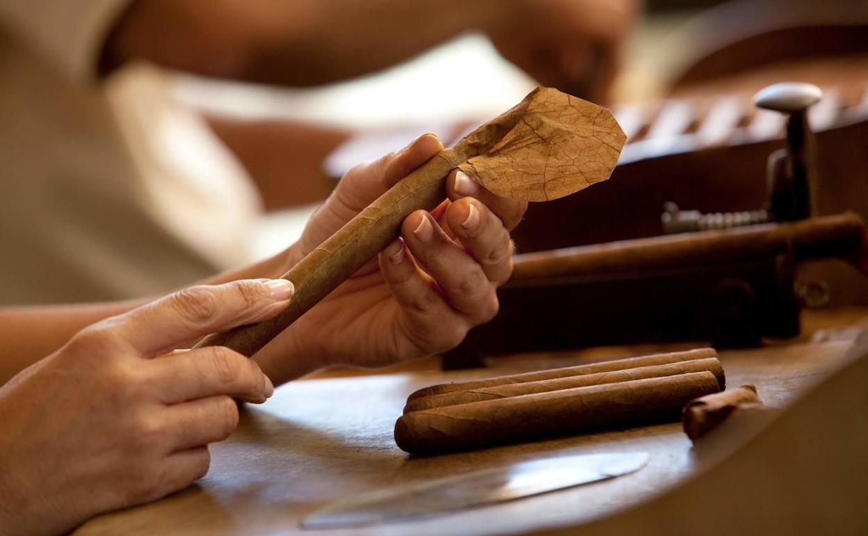 Piden reconocer el puro canario como producto artesanal y su promoción