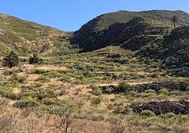 Zona de Las Minas y El Montañón afectadas por el trazado de la línea de alta tensión.