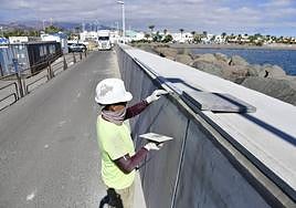Uno de los operarios, en plena faena en el puerto de Castillo del Romeral.