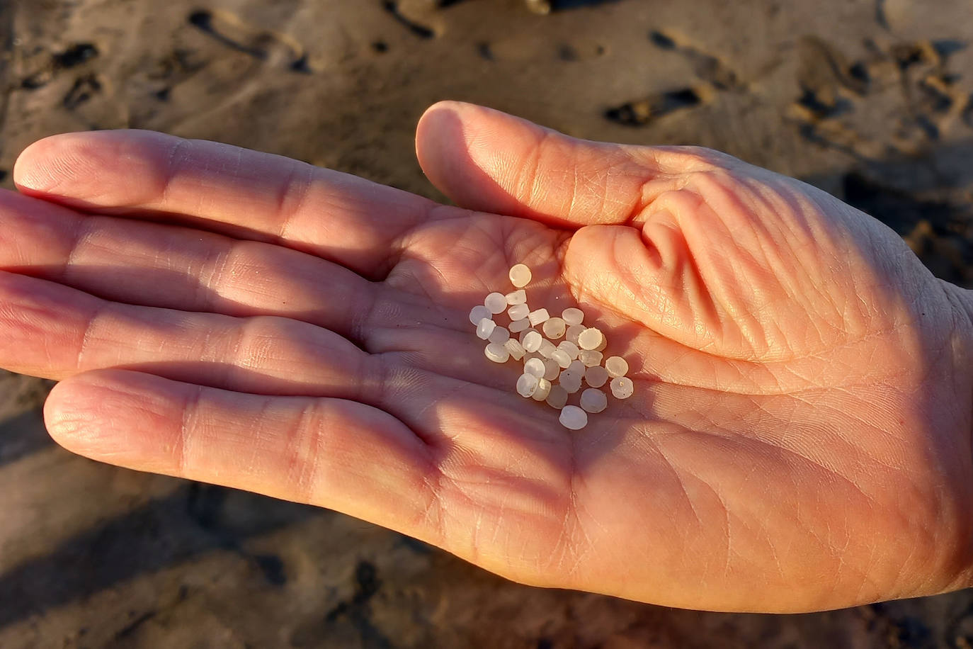 Llegan pélets a la costa de Tenerife