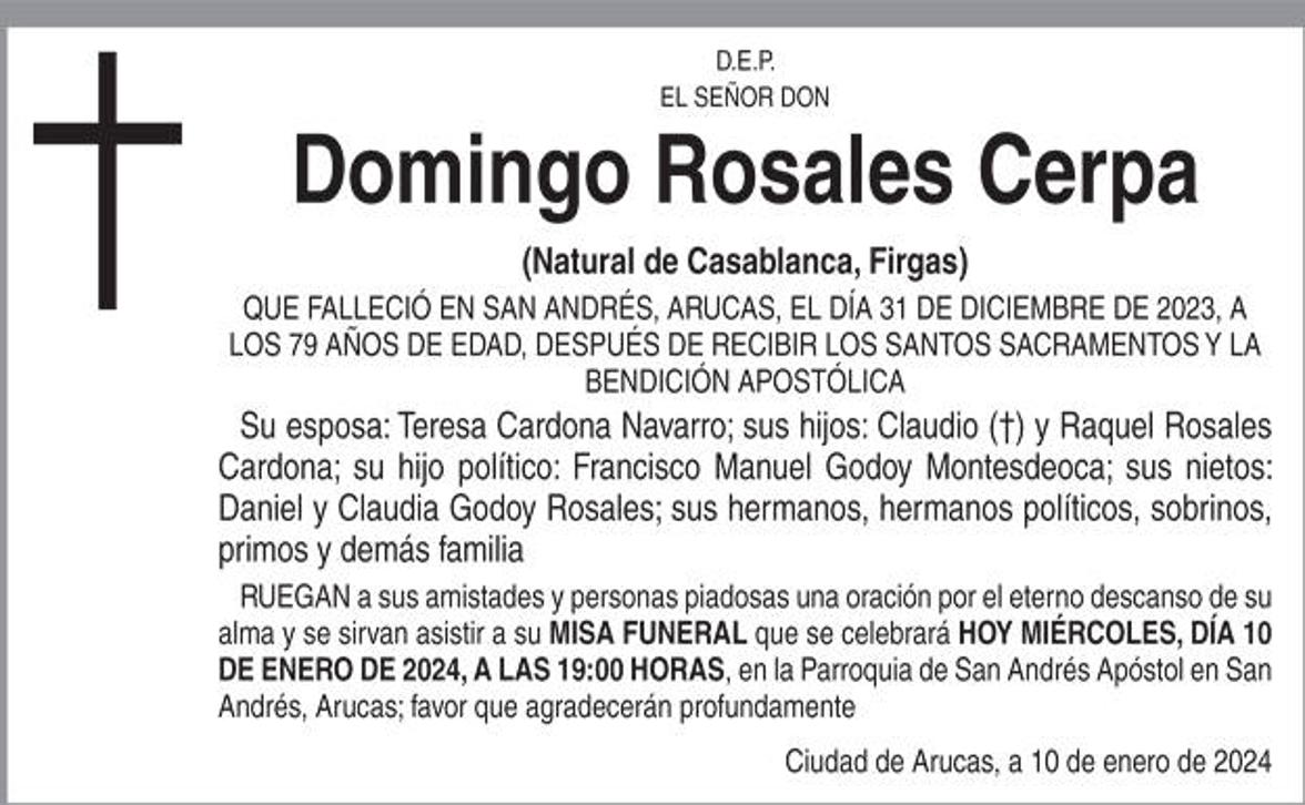 Domingo Rosales Cerpa