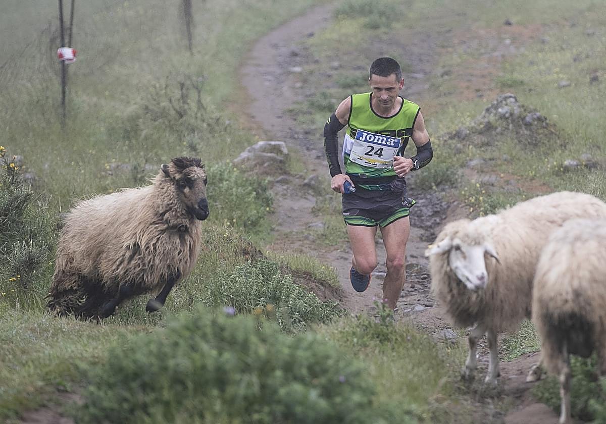 Uno de los participantes de Entre Cortijos de la pasada edición.