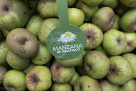 Manzana reineta cultivada en Valleseco.