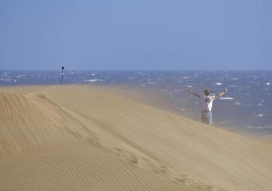 Imagen de la arena de las dunas de Maspalomas movida por el viento en el sur de Gran Canaria.